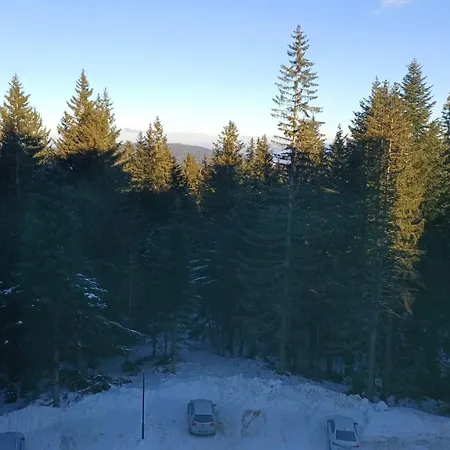 Hotel apartamentowy Zlatni Javor, 410