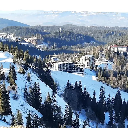 Hotel apartamentowy Zlatni Javor, 410