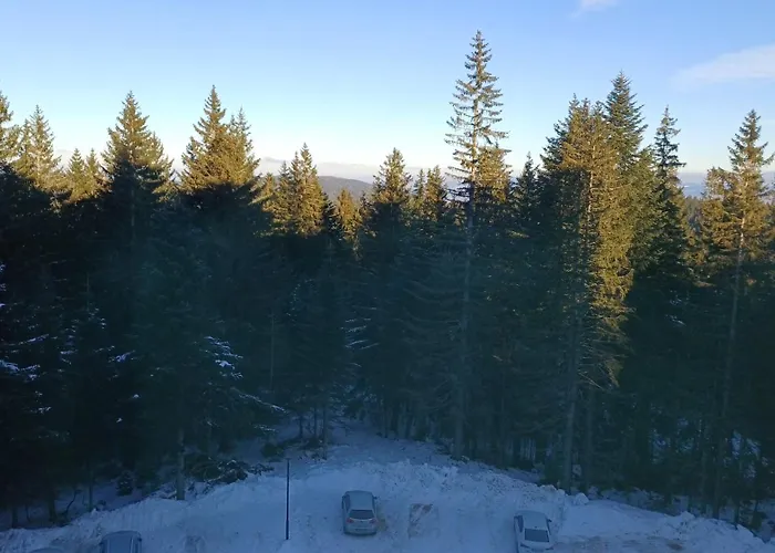 Aparthotel Zlatni Javor, 410