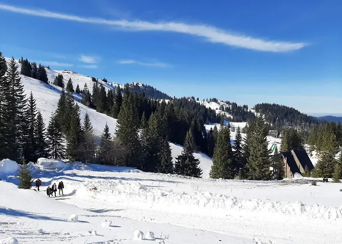 Aparthotel Zlatni Javor, 410 Jahorina