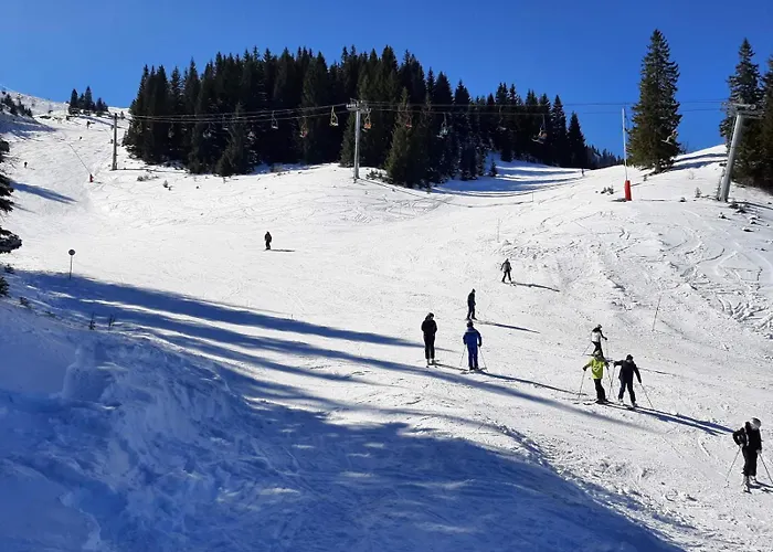 Aparthotel Zlatni Javor, 410 *