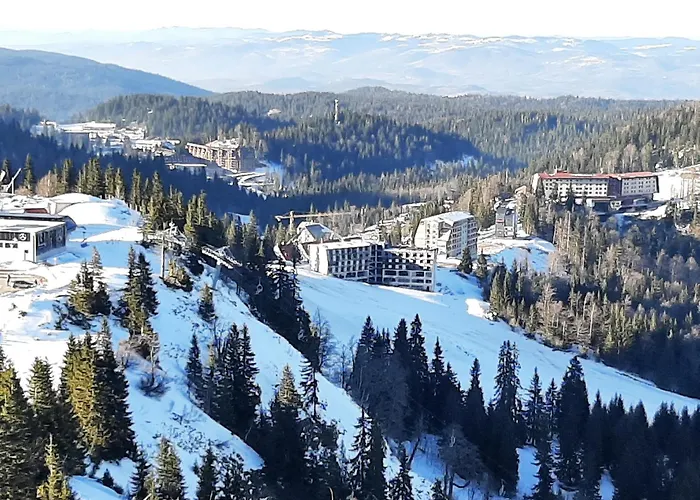 Aparthotel Zlatni Javor, 410